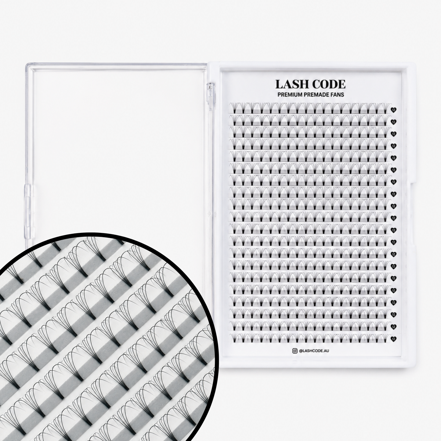 4D Premade Fans – Short Stem (XL Tray)